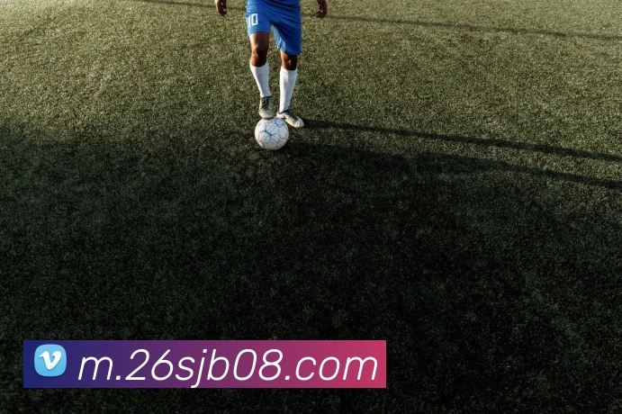 2026世界杯8强发展历程